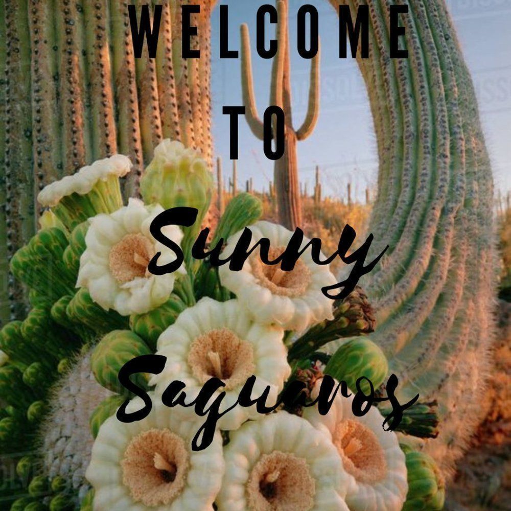 Welcome To Sunny Saguaro's Boutique